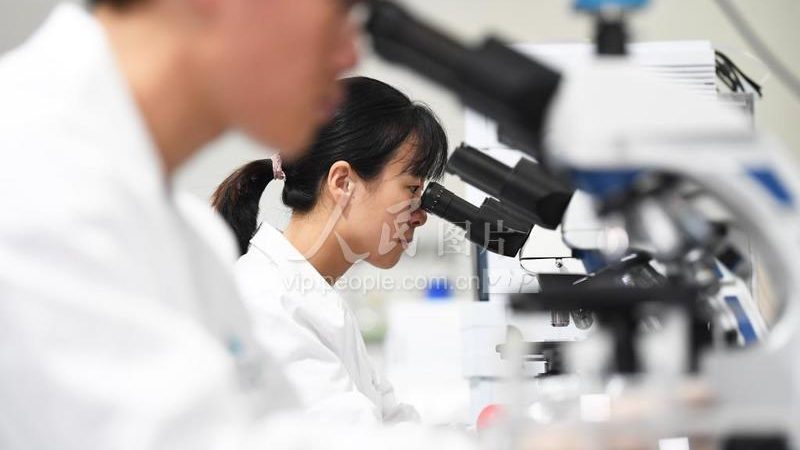 细胞培养基，细胞生长的“营养液”：揭秘其型号与选择之道