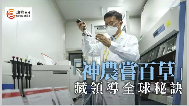 洗衣液酶制剂：揭秘其价格背后的价值**