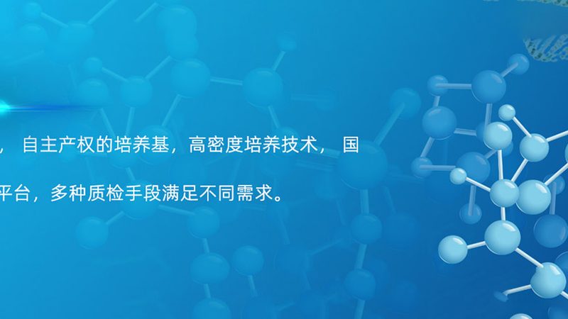 CDMO工艺流程参数设置的奥秘与关键