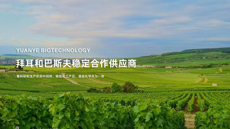 苏州生物医药原液采购：如何规避风险，确保品质**