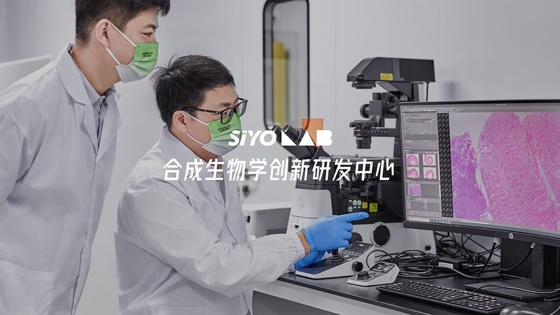 酶制剂生产厂家执行哪些标准？**