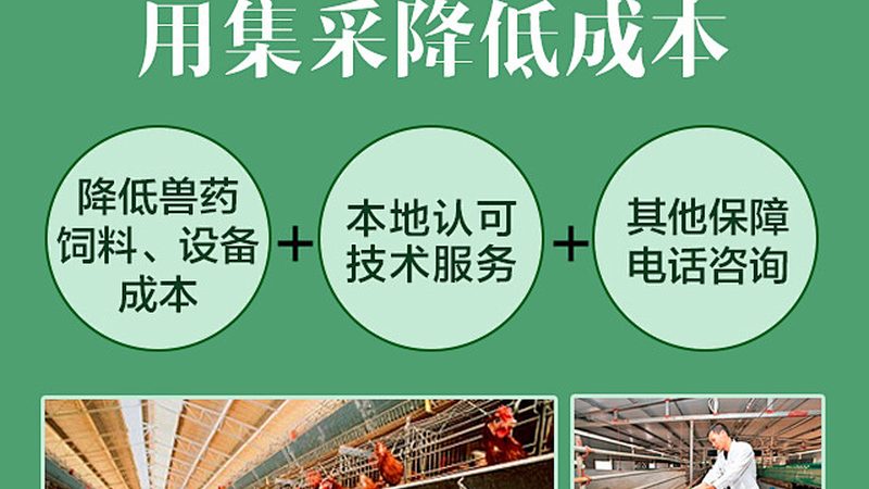 工业级引物合成：如何降低错误率，控制成本**