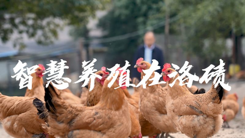 抗体CDMO服务费用明细：揭秘研发背后的成本构成