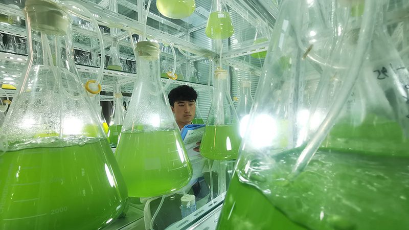 荧光引物修饰到底看什么